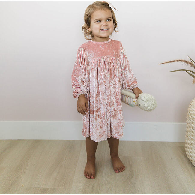 Raphael Velvet Dress, Pale Pink Crush - Dresses - 3