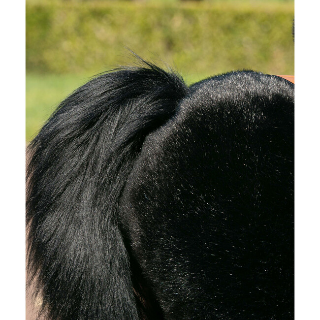 Black Horse with White Hoof, Large - Ride-Ons - 5