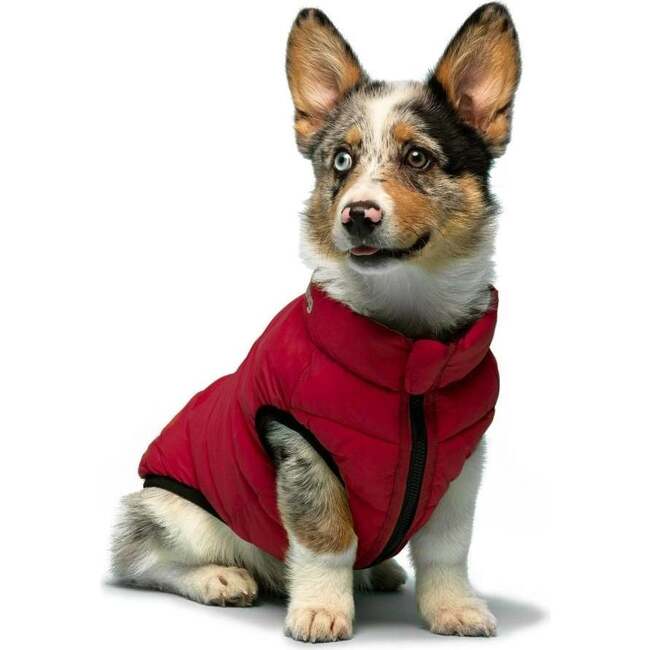 Pack N' Go Reversible Puffer, Red and Navy - Dog Clothes - 2