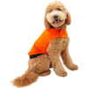 Carter Pet Vest, Neon Orange - Pet Accessories - 2