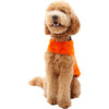 Carter Pet Vest, Neon Orange - Pet Accessories - 3