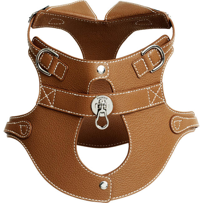 The Colombo Harness, Saddle