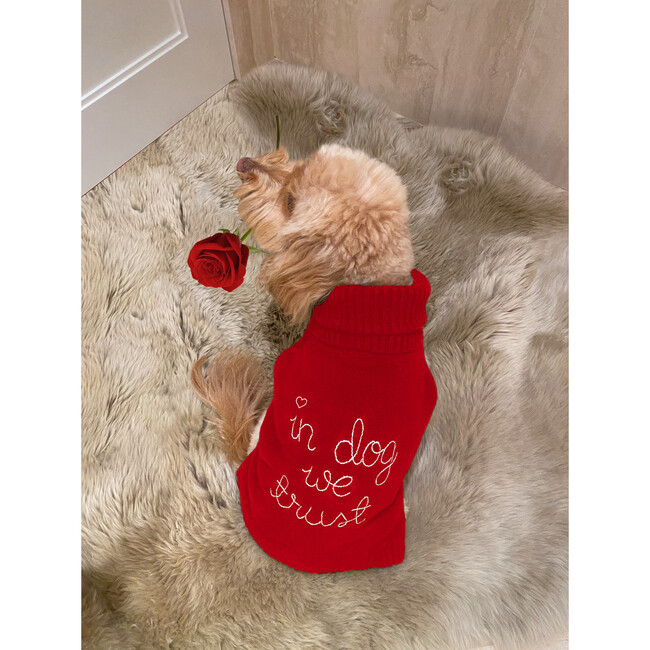 Pride+Groom X Lingua Franca Dog Sweater and Beauty Bundle - Dog Clothes - 2