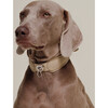 The Dórro Collar, Sand - Collars, Leashes & Harnesses - 2 - thumbnail