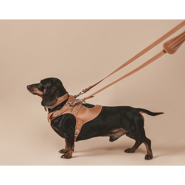 The Colombo Harness, Saddle - Collars, Leashes & Harnesses - 3