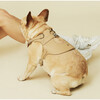 The Colombo Harness, Sand - Collars, Leashes & Harnesses - 4 - thumbnail