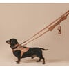 The Tascher Leash, Saddle - Collars, Leashes & Harnesses - 2