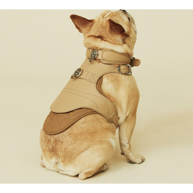The Babbi Harness, Sand - Collars, Leashes & Harnesses - 6