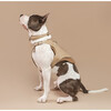 The Babbi Harness, Sand - Collars, Leashes & Harnesses - 7