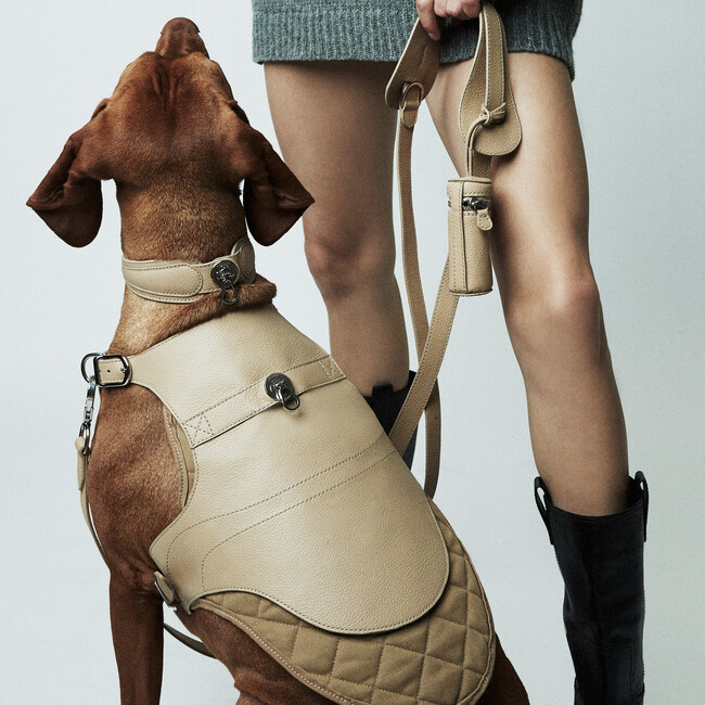 The Babbi Harness, Sand - Collars, Leashes & Harnesses - 9
