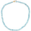 Oracle Aquamarine Crystal Necklace - Necklaces - 1 - thumbnail