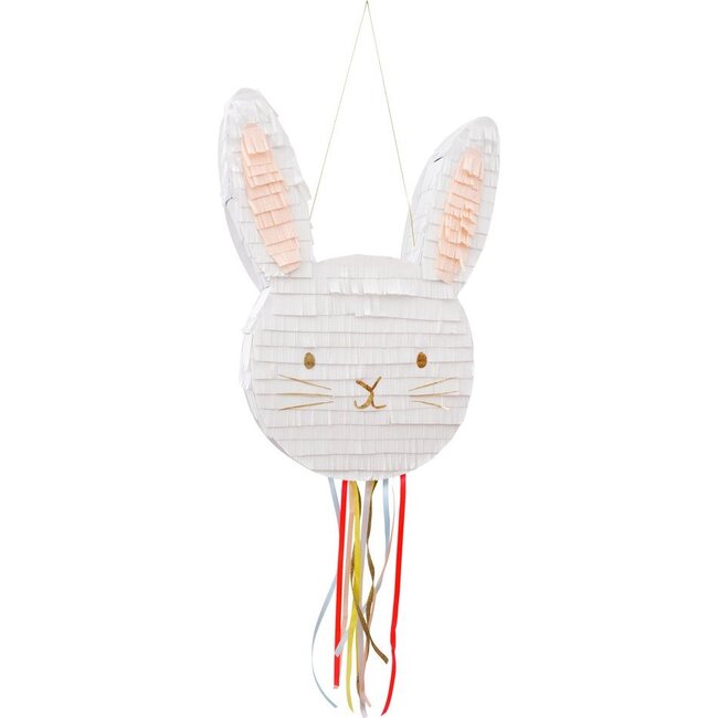 Bunny Party Pinata - Party - 1