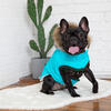 Winter Sailor Parka, Aqua - Dog Clothes - 2
