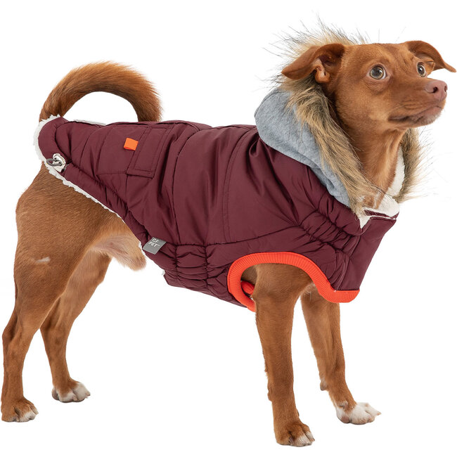 Winter Sailor Parka, Burgundy - Dog Clothes - 2
