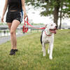 Reflective Leash, Red - Collars, Leashes & Harnesses - 2