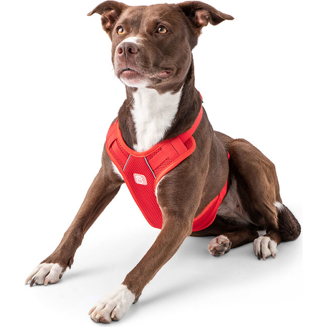 Travel Harness, Red