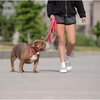 Reflective Leash, Neon Pink - Collars, Leashes & Harnesses - 2