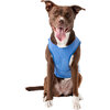 Elasto-Fit Ice Vest, Blue - Dog Clothes - 2