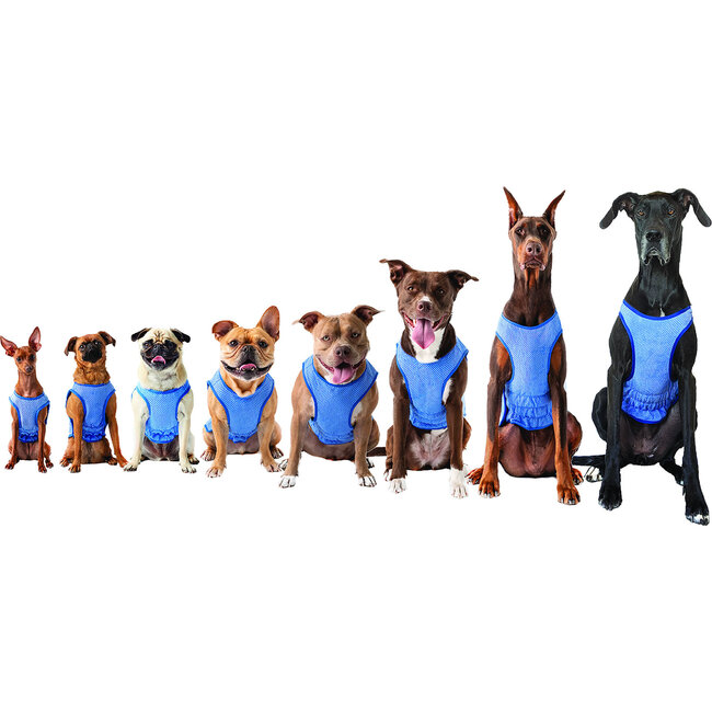 Elasto-Fit Ice Vest, Blue - Dog Clothes - 4