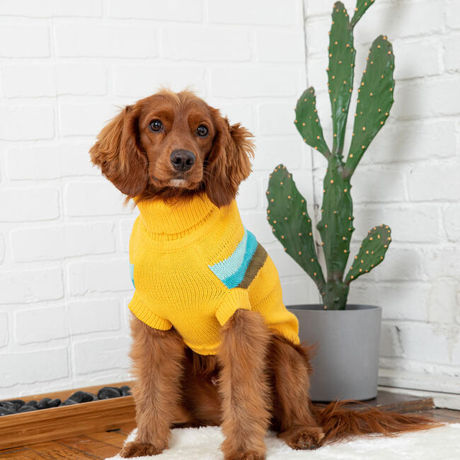 Alpine Sweater, Yellow - Dog Clothes - 2