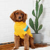 Alpine Sweater, Yellow - Dog Clothes - 2