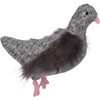 Pecky Pigeon Squeaker Dog Toy - Pet Toys - 1 - thumbnail