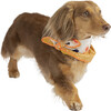 Poppy Artistic Reversible Bandana Kerchief for Small to Medium Dogs - Pet Toys - 6