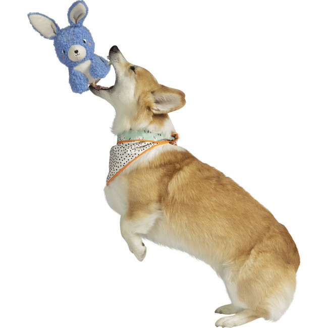 Squeaks A Lot Bo Bunny Squeaker Dog Toy
 - Pet Toys - 3