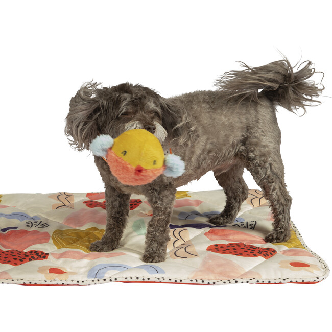 Oddball Bertie Squeaker Ball Blowfish Dog Toy - Pet Toys - 4