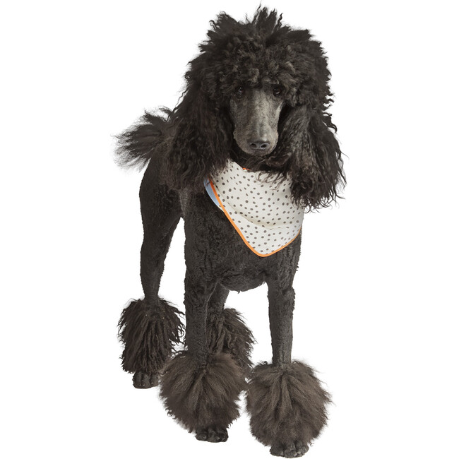 Signature Artistic Reversible Bandana Kerchief for Small to Medium Dogs - Pet Toys - 6