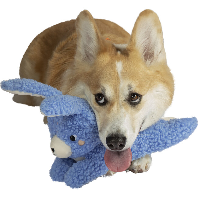 Squeaks A Lot Bo Bunny Squeaker Dog Toy
 - Pet Toys - 4