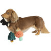 Forest Trio Collection of Dog Toys - Pet Toys - 6