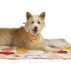 Stripe Artistic Reversible Bandana Kerchief for Medium to Large Dogs - Pet Toys - 6