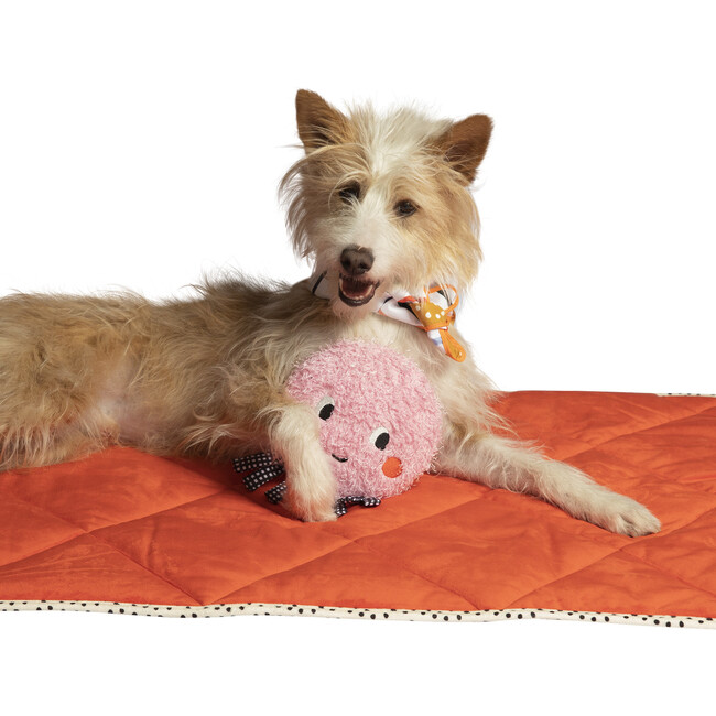 Ocho Toss Around Flyer and Squeaker Dog Toy - Pet Toys - 6