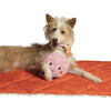 Ocho Toss Around Flyer and Squeaker Dog Toy - Pet Toys - 6