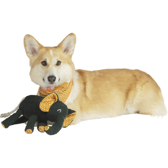 Shakers Peppa Under Stuffed Elephant Dog Toy - Pet Toys - 5