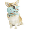 Oddball Olga Squeaker Ball Octopus Dog Toy - Pet Toys - 6 - thumbnail