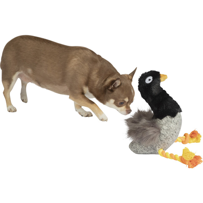 Goofy Gus Honking Dog Toy - Pet Toys - 6