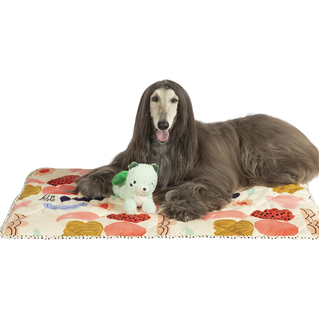 Squeaks A Lot Scout Squirrel Squeaker Dog Toy - Pet Toys - 6