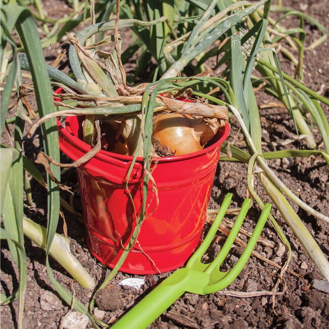 Red Bucket - Outdoor Games - 2