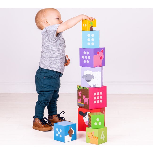 Farmyard Stacking Cubes - Stackers - 4