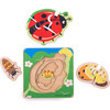 Lifecycle Layer Puzzle - Ladybug - Wooden Puzzles - 2