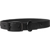 Diggs Buckle Dog Collar, Charcoal - Collars, Leashes & Harnesses - 1 - thumbnail