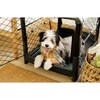 Revol Dog Crate, Charcoal - Pet Crates & Kennels - 2