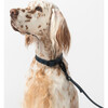 Diggs Dog Leash, Navy - Collars, Leashes & Harnesses - 2