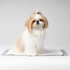 Travel Carrier Pee Pads, 20 pack - Pet Crates & Kennels - 2