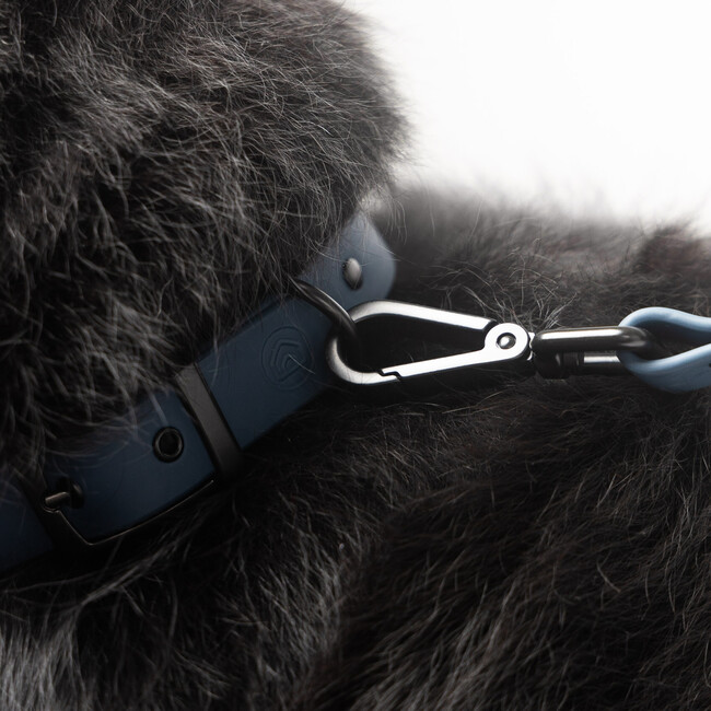 Diggs Dog Leash, Navy - Collars, Leashes & Harnesses - 5