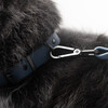 Diggs Dog Leash, Navy - Collars, Leashes & Harnesses - 5
