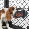 Spreadable PB Dog Treat, That's My Jam - Pet Bowls & Feeders - 2