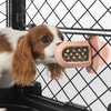 Spreadable PB Dog Treat, Health Nut - Pet Bowls & Feeders - 2 - thumbnail